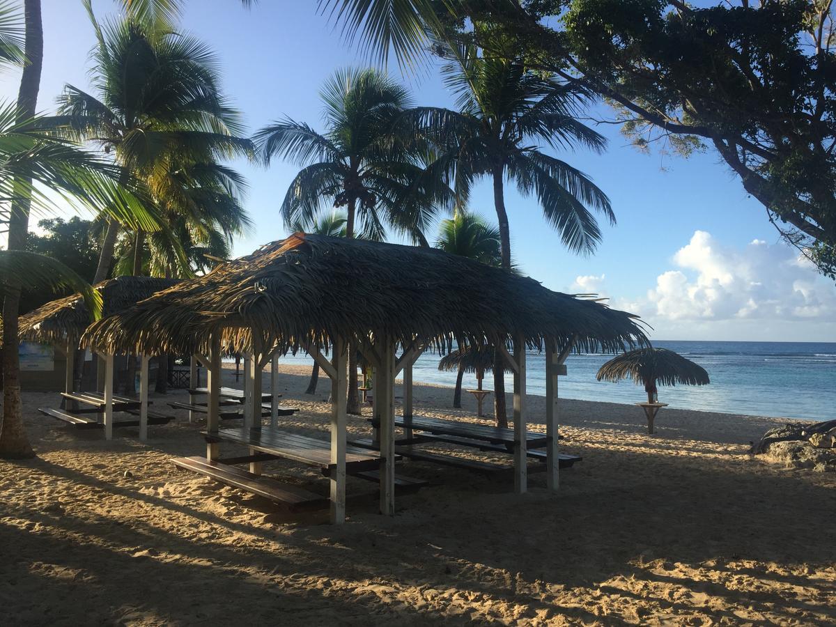 Brin D'Ile Anse Des Rochers Vue Mer A 50 M De La Plage Et Piscine Saint-Francois  Exterior foto